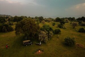 sundowner at the maasai mara