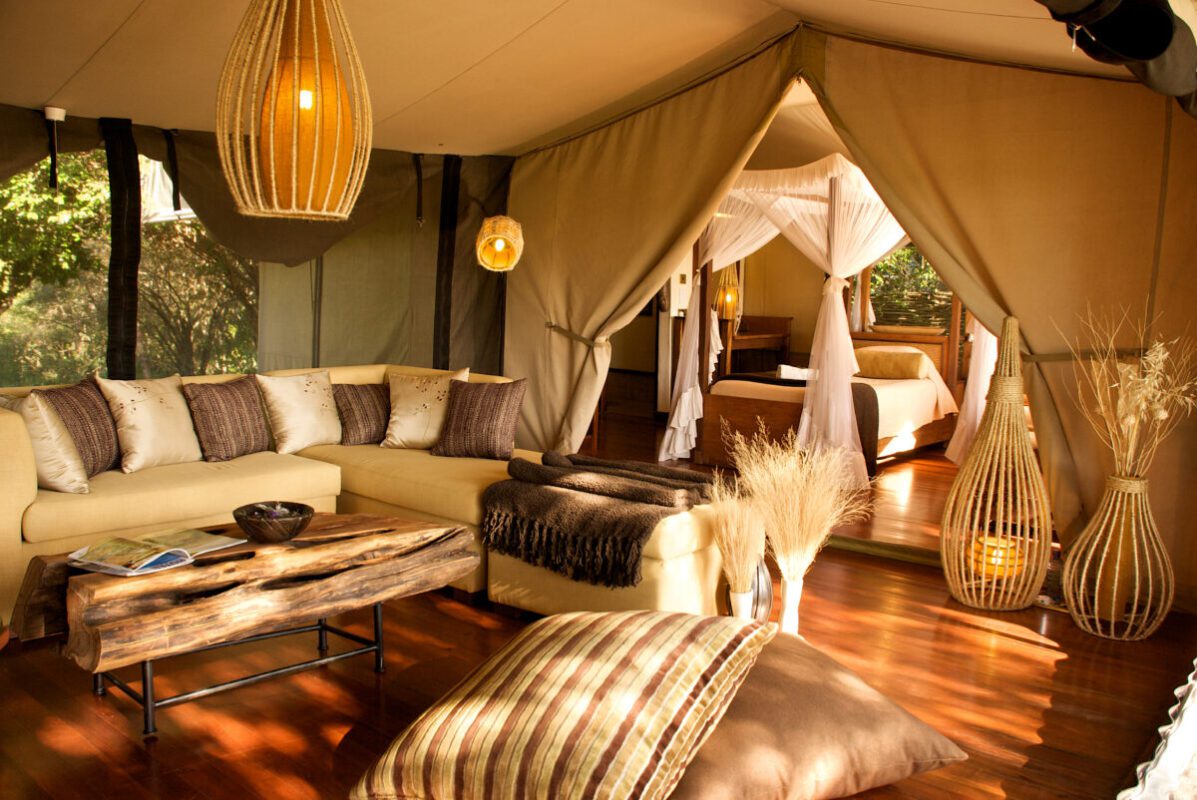 Experience Mara Intrepids: Your Luxury Boutique Safari Retreat in Maasai Mara