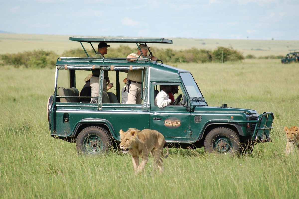 lion spotting-fotor-2024032017172