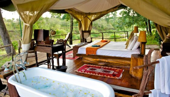 Discover the “Mara Explorer Camp”: A Chic Luxe Haven in the Heart of the African Wilderness