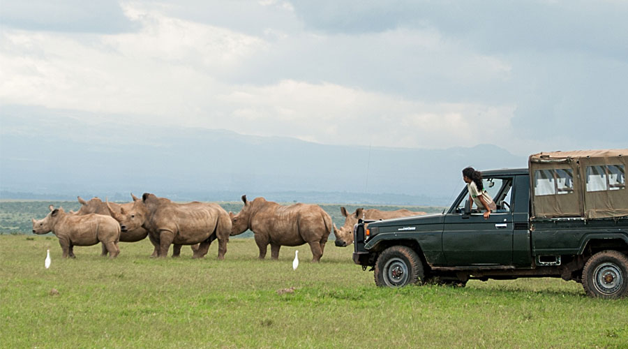 Rhino-Watch-Safari-Lodge-3