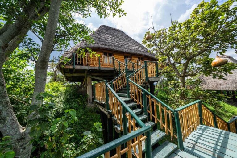 Green Getaways: 5 Eco-Friendly African Retreats you have to experience