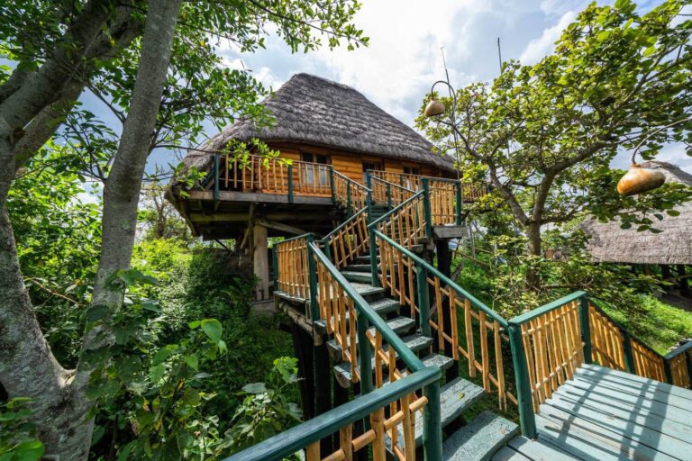 Experience Luxury and Nature at Kyaninga Lodge which is a Ugandan Premier Safari Escape