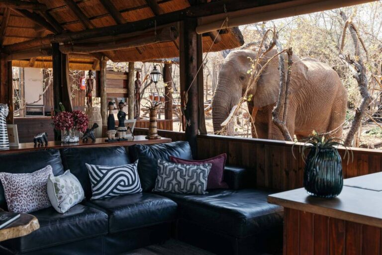 A Hidden Safari Gem That is Isambane Bush Camp Awaits You
