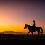 Rider at sunrise on Laikipia plains with Mount Kenya on the skyline from Sosian lodge