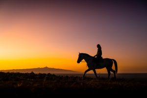 Rider at sunrise on Laikipia plains with Mount Kenya on the skyline from Sosian lodge
