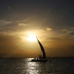 Lamu Festival Season 2025 — traditional dhow sailing at sunset on the Swahili coast.