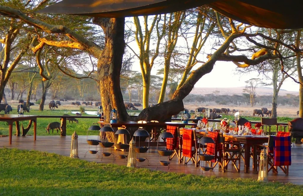 Sirikoi main deck with buffalo Lewa Conservancy Kenya